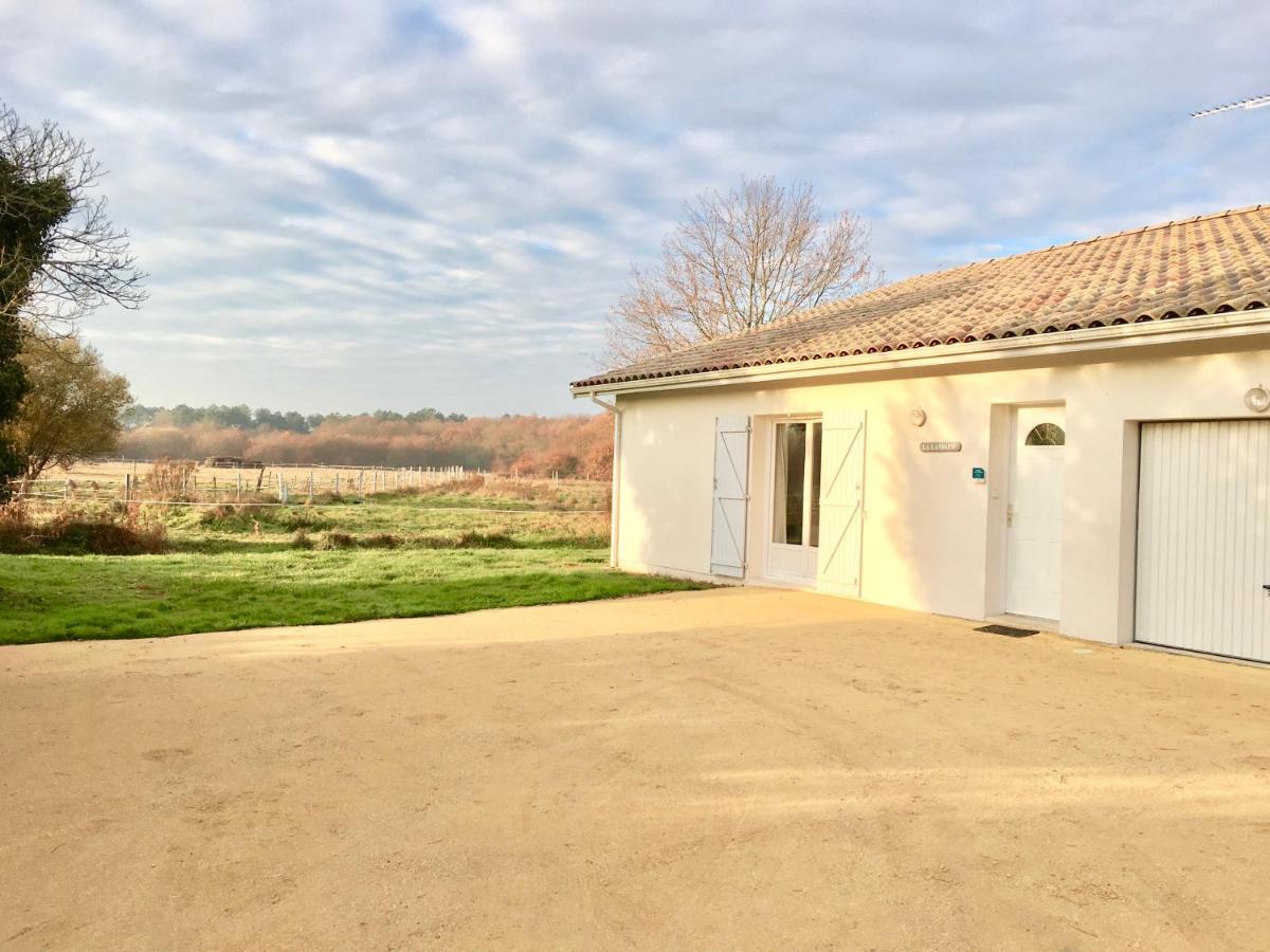 La Villa Landaise Sainte-Eulalie-en-Born Exteriör bild
